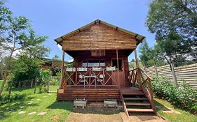 Yorkdale Cabin